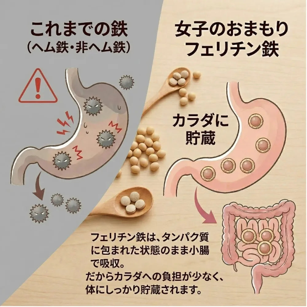 フェリチン鉄プレミアム|貯蔵鉄に直接アプローチ 植物性フェリチン鉄10mg 子供OK – FUJI LAB