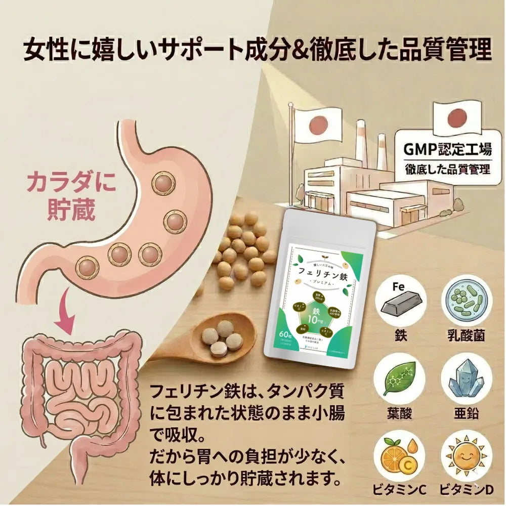 フェリチン鉄プレミアム|貯蔵鉄に直接アプローチ 植物性フェリチン鉄10mg 子供OK – FUJI LAB