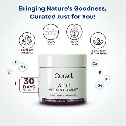 Shilajit 3-in-1 Gummies for Men