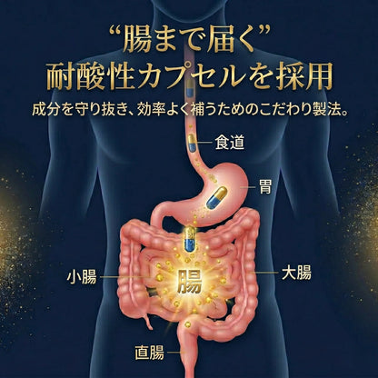 NMN 12000mg（2粒400mg）サプリ レスベラトロール配合 日本製 高純度99.9% GMP認定工場 耐酸性カプセル 栄養機能食品